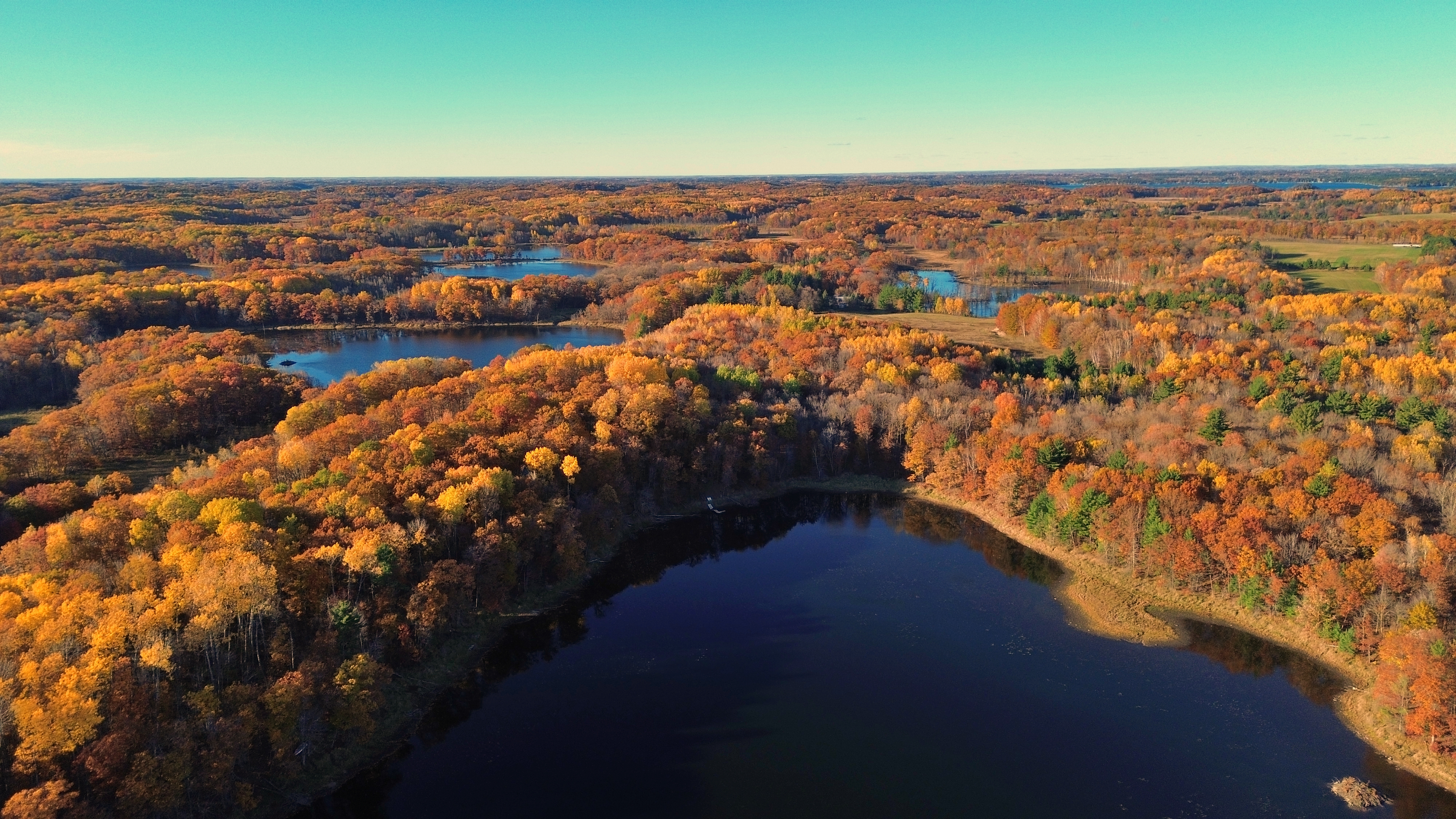 image of mechanics at work on a car