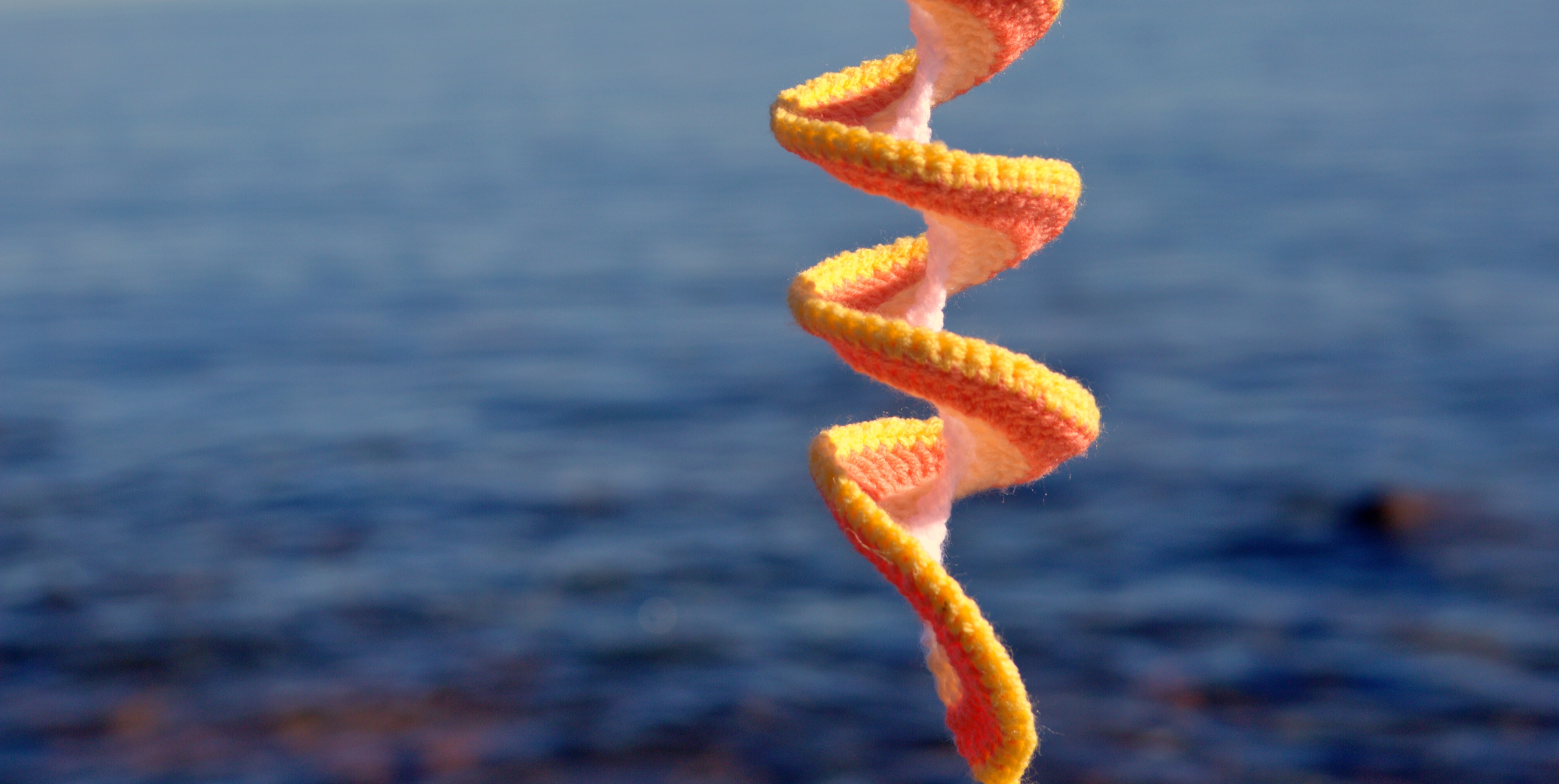 [interface] image of software interface (for an edtech)